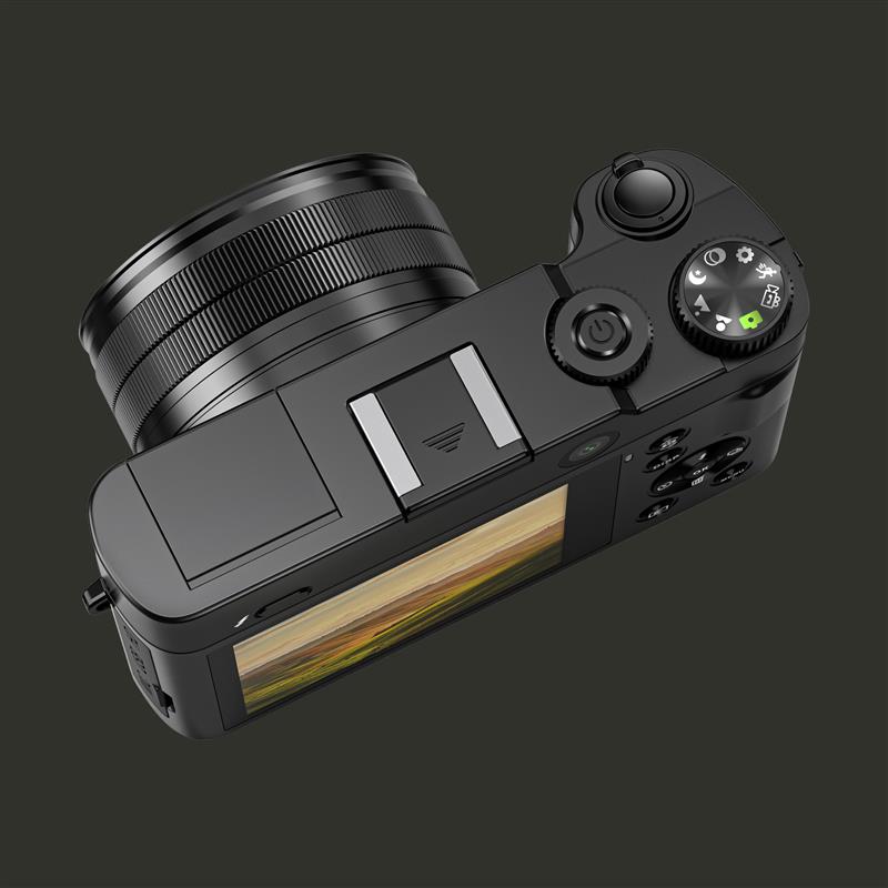 DZ16 Fixed Lens Digital Camera